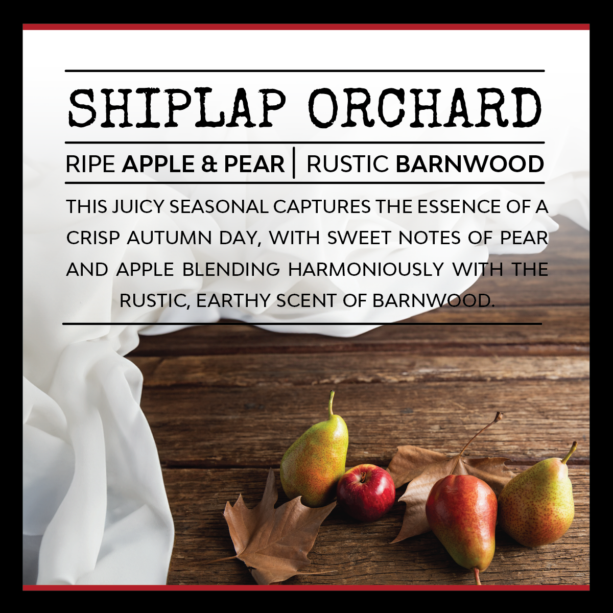 Shiplap Orchard