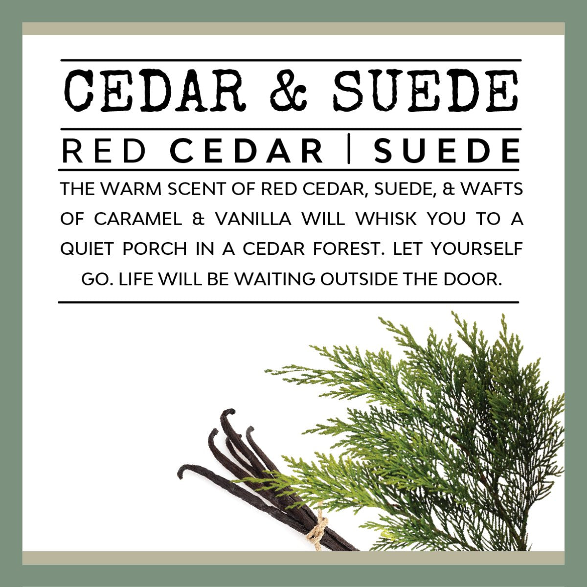 Cedar & Suede