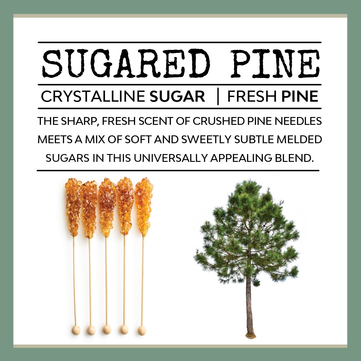 Scent: Sugared Pine