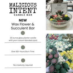 Wax Succulent Garden Candle Class