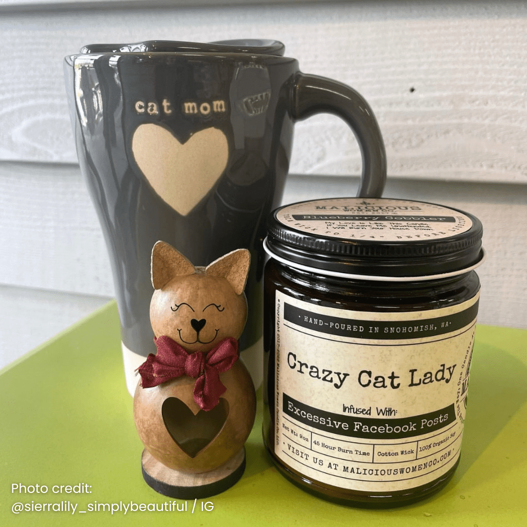 Crazy Cat Lady | Scent: Apricot Freesia | 9oz Funny Candle | Malicious Women Co - Malicious Women Co. -Candle
