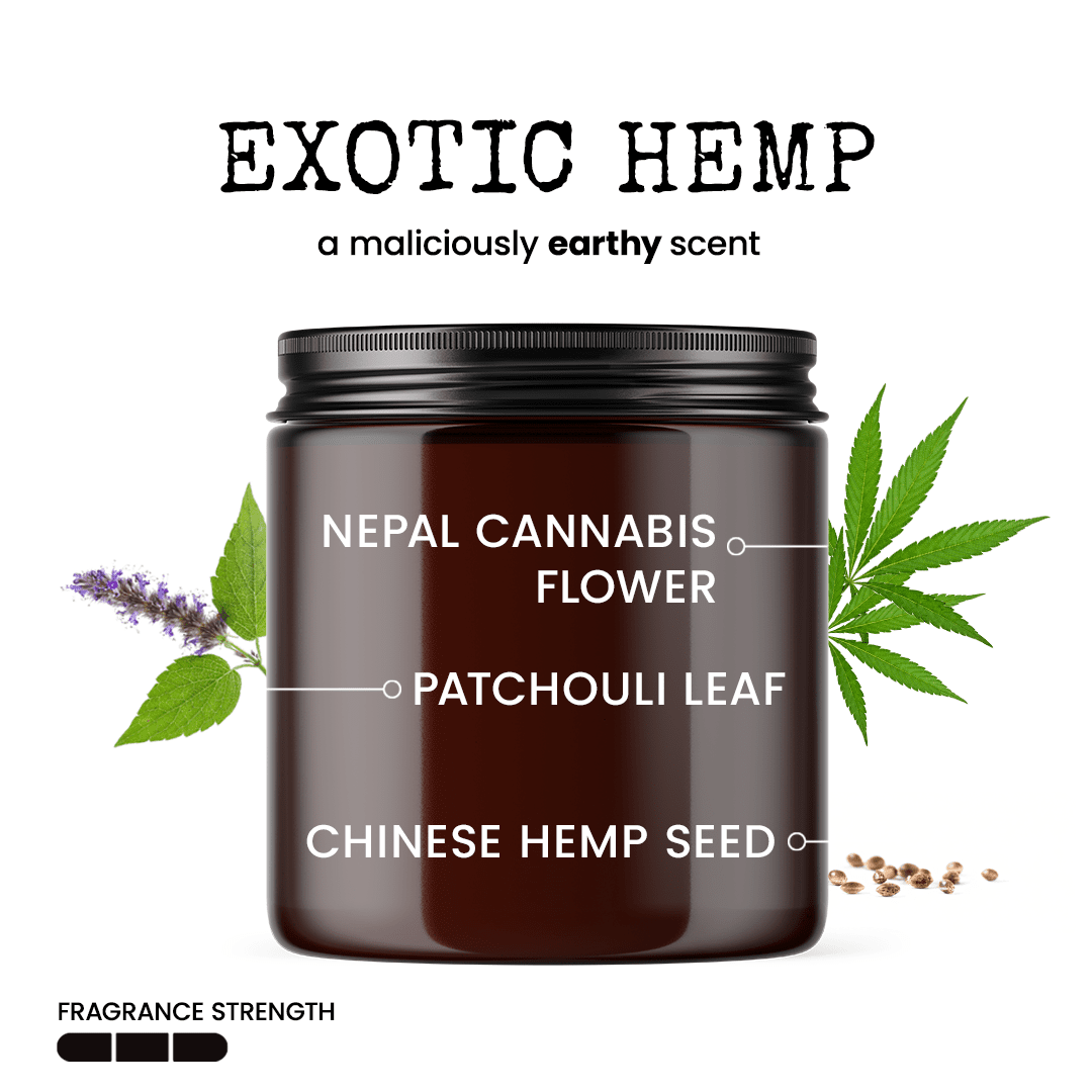 I'm Silently Comparing You To My Book Boyfriends 9oz Funny Candle Malicious Women Co - Malicious Women Co. - Candle