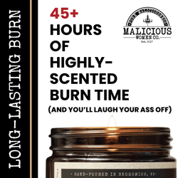 Government Shutdown 2025 9oz Soy Candle From Malicious Women Candle Co